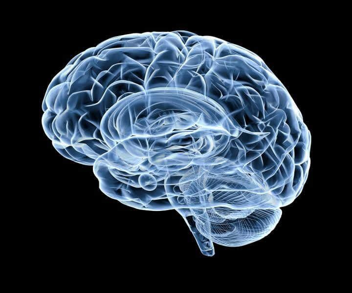 Consulta de psicología Antonio Tova de Llano Cerebro